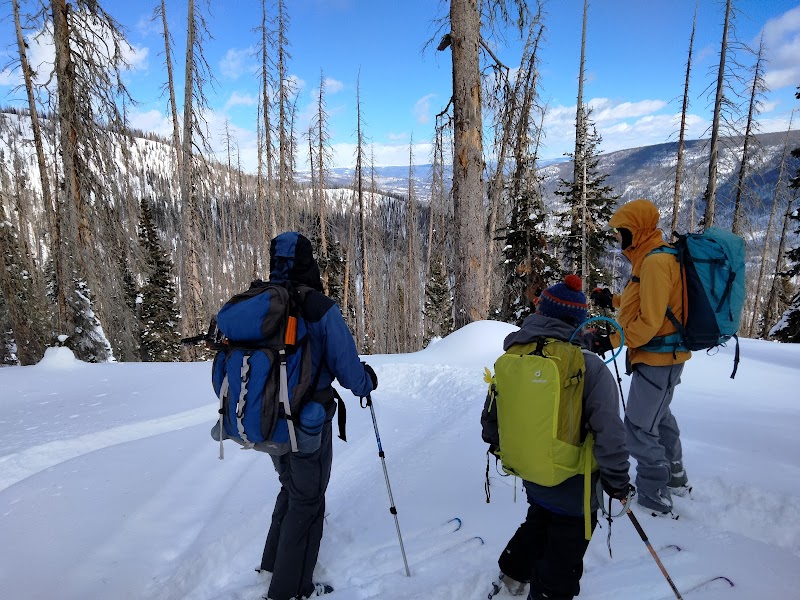 Scenic Wonders: Wolf Creek Pass Trailhead surrounding landscape