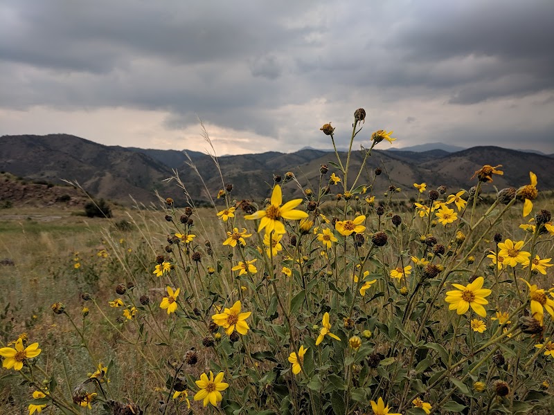 Spectacular Views Await at Lichen Peak outdoor detail