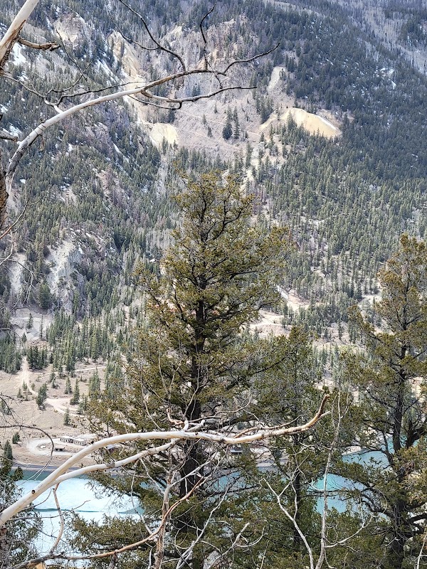 Mountain Majesty: Colorado Trail Segment 22 Trailhead surrounding landscape