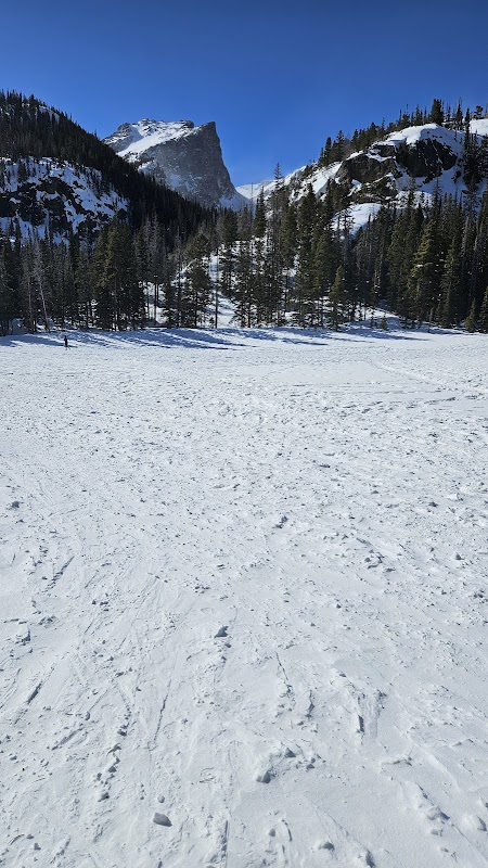 Snowy Splendor at Kirks Mountain Adventures - Kirks Mountain Adventures