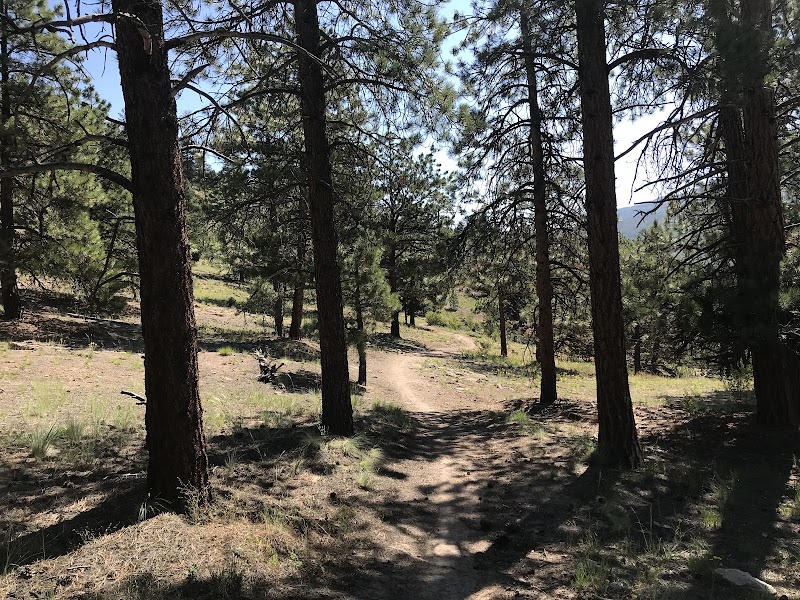 Wilderness Wonders: Trout Creek Trailhead #811