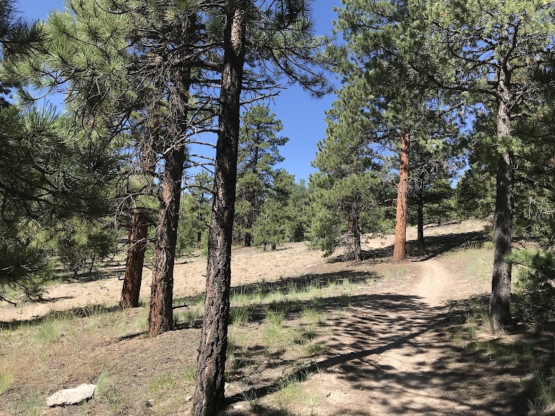 Wilderness Wonders: Trout Creek Trailhead #811 outdoor detail