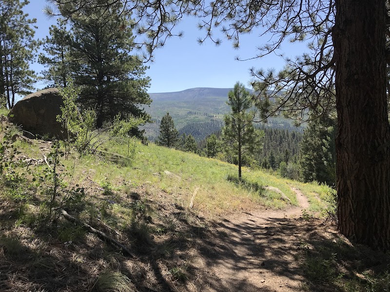 Wilderness Wonders: Trout Creek Trailhead #811 surrounding landscape