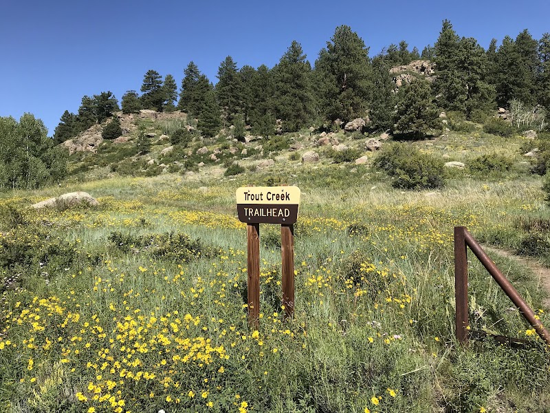 Wilderness Wonders: Trout Creek Trailhead #811 trail preview
