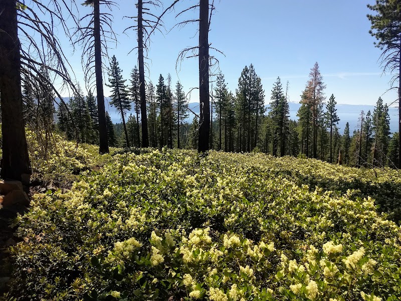 Hiking at Brockway Summit Tahoe Rim Trailhead surrounding landscape