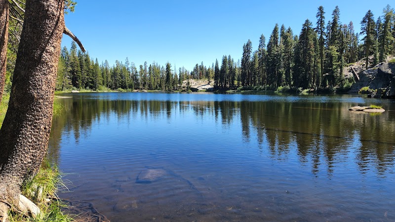 Nature's Wonderland: Tahoe National Forest - Tahoe National Forest