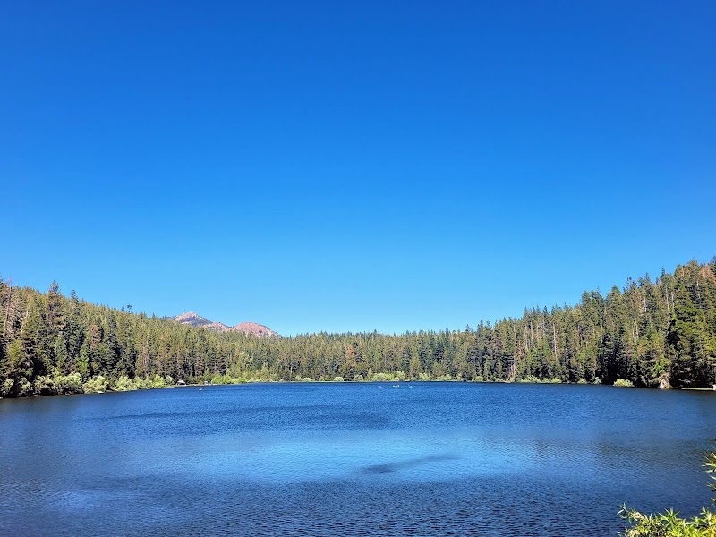 Nature's Wonderland: Tahoe National Forest surrounding landscape