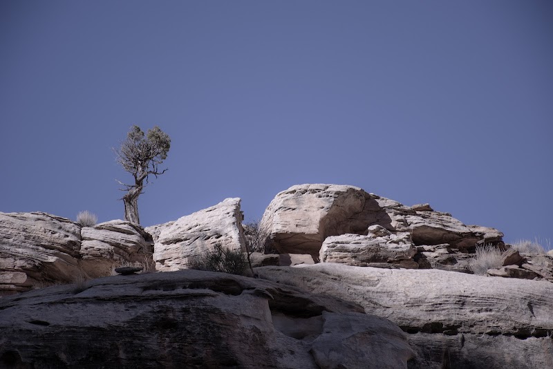 Discover Cassidy Arch in Capitol Reef surrounding landscape