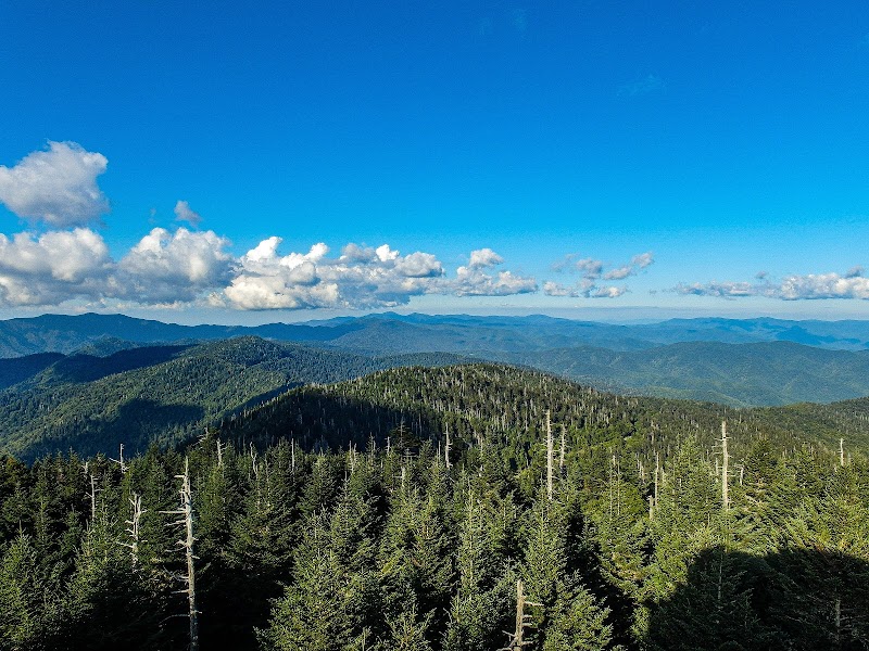 Majestic Mountain Adventures: Appalachian Trail in the Great Smoky Mountains - Appalachian trail