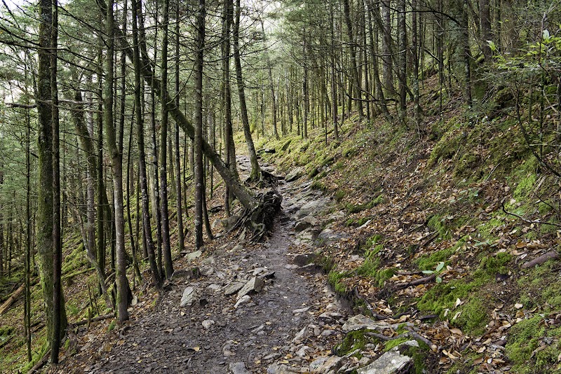 Majestic Mountain Adventures: Appalachian Trail in the Great Smoky Mountains - Appalachian trail