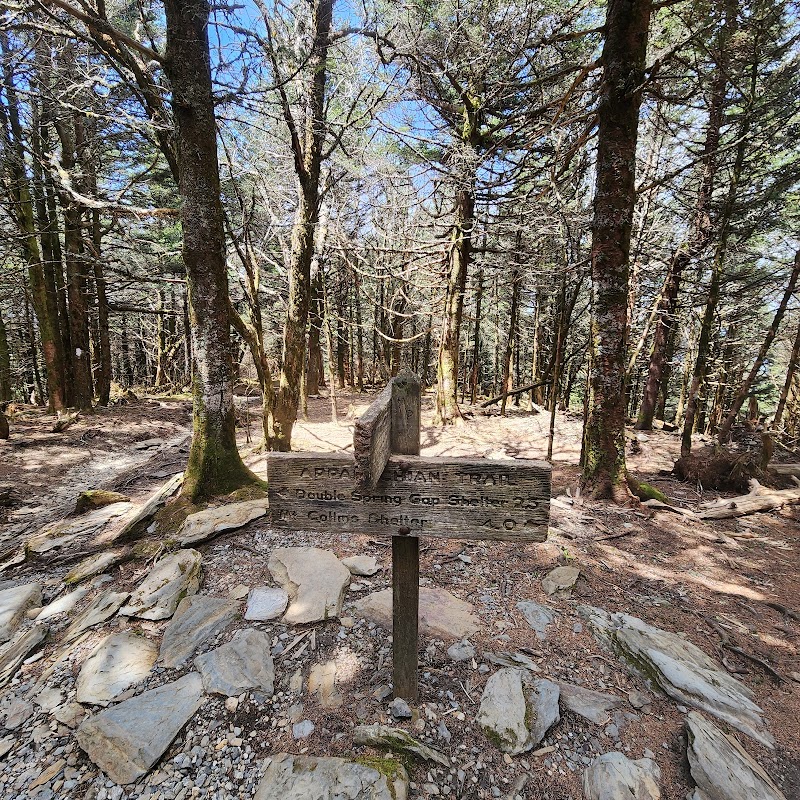 Majestic Mountain Adventures: Appalachian Trail in the Great Smoky Mountains - Appalachian trail