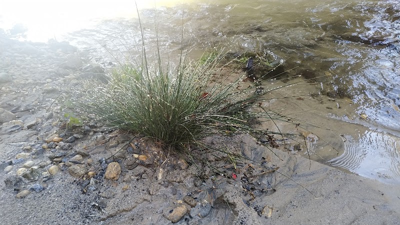 Riverside Retreats on the Chattooga outdoor detail