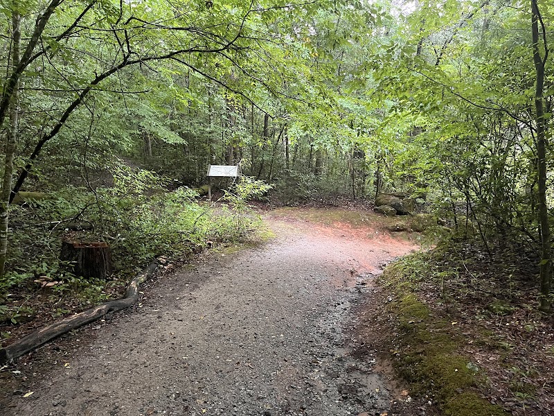 Riverside Retreats on the Chattooga surrounding landscape
