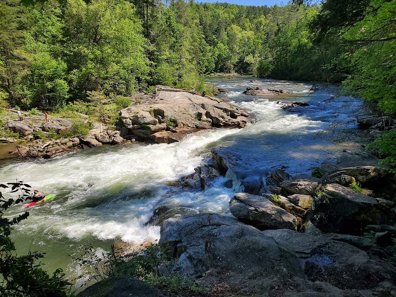 Discovering Long Creek Falls surrounding landscape