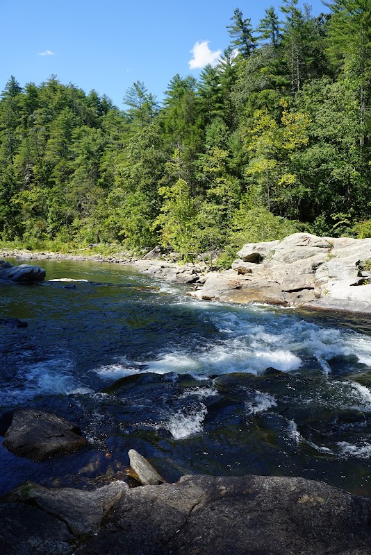 Waterfall Wonder: Reedy Branch Falls Trailhead outdoor detail