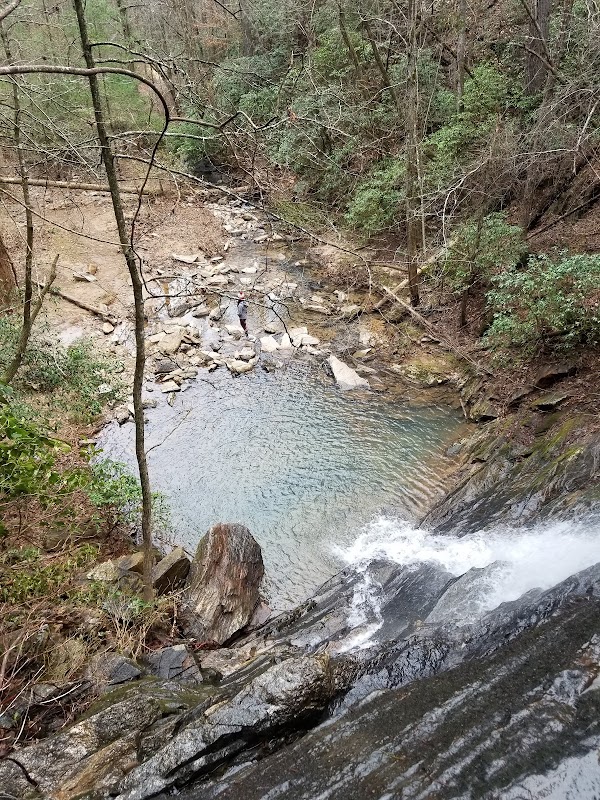 Waterfall Wonder: Reedy Branch Falls Trailhead surrounding landscape