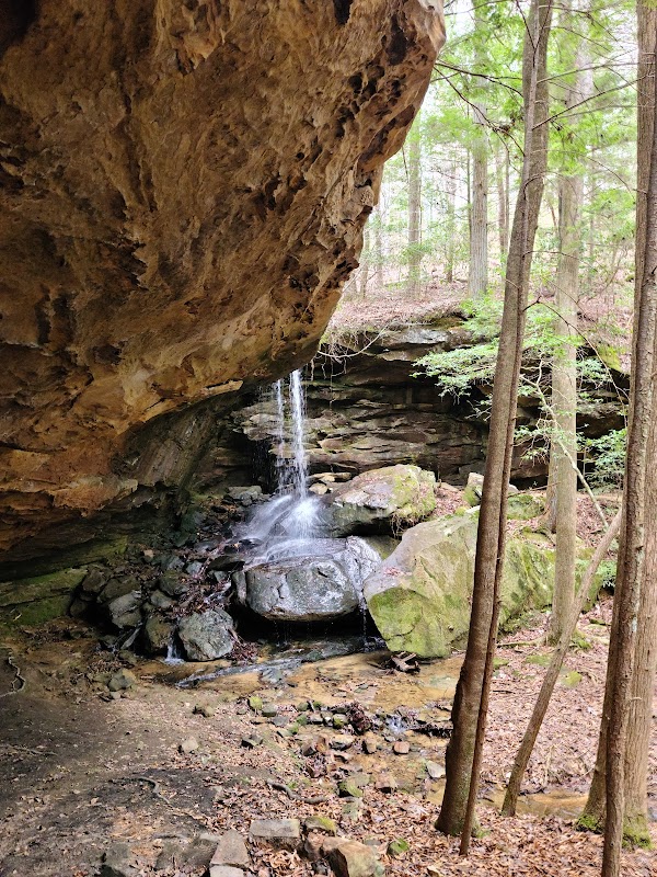 Waterfall Wonders: Parker Falls - Parker Falls