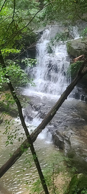 Waterfall Wonders: Parker Falls outdoor detail