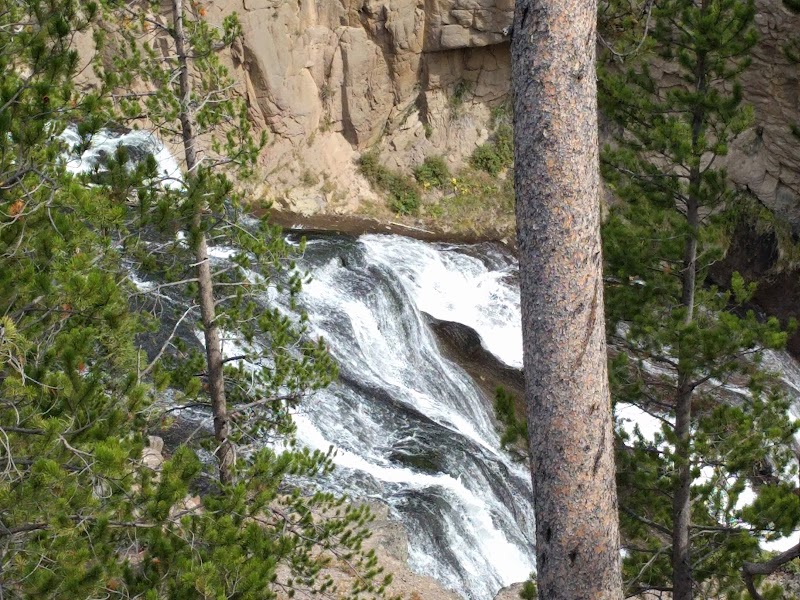 Gushing Waters of Gibbon Falls - Gibbon Falls