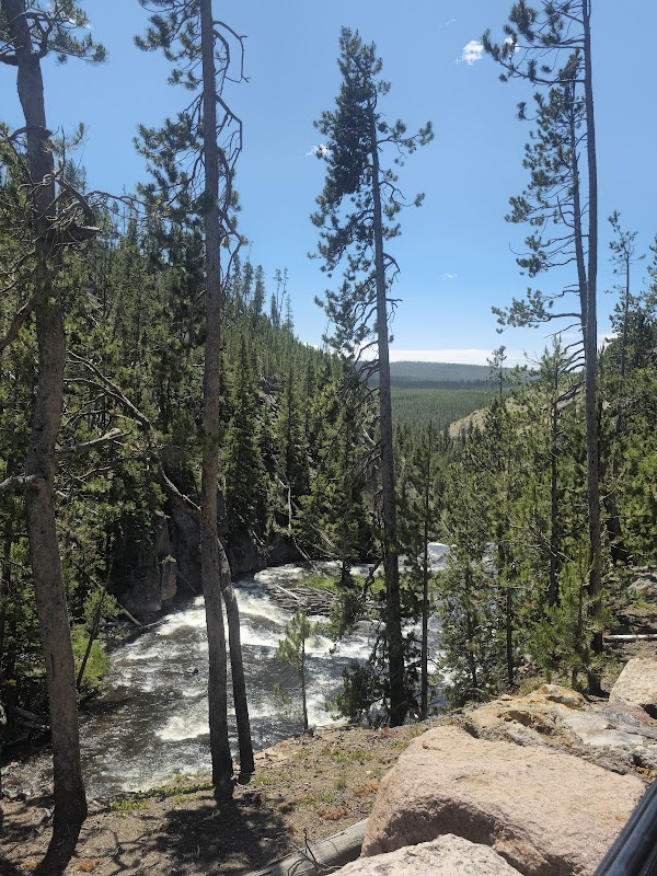 Gushing Waters of Gibbon Falls surrounding landscape