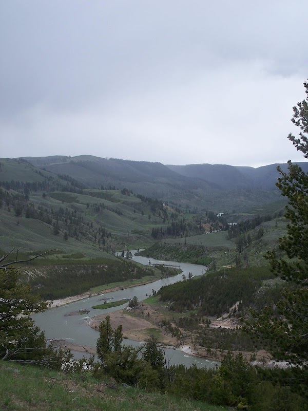 Riverside Rivals: Discovering Yellowstone's Trailhead Treasure surrounding landscape