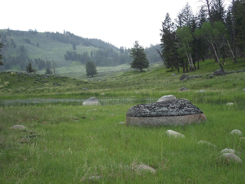 Riverside Rivals: Discovering Yellowstone's Trailhead Treasure - Yellowstone River Picnic Area Trailhead 2K7