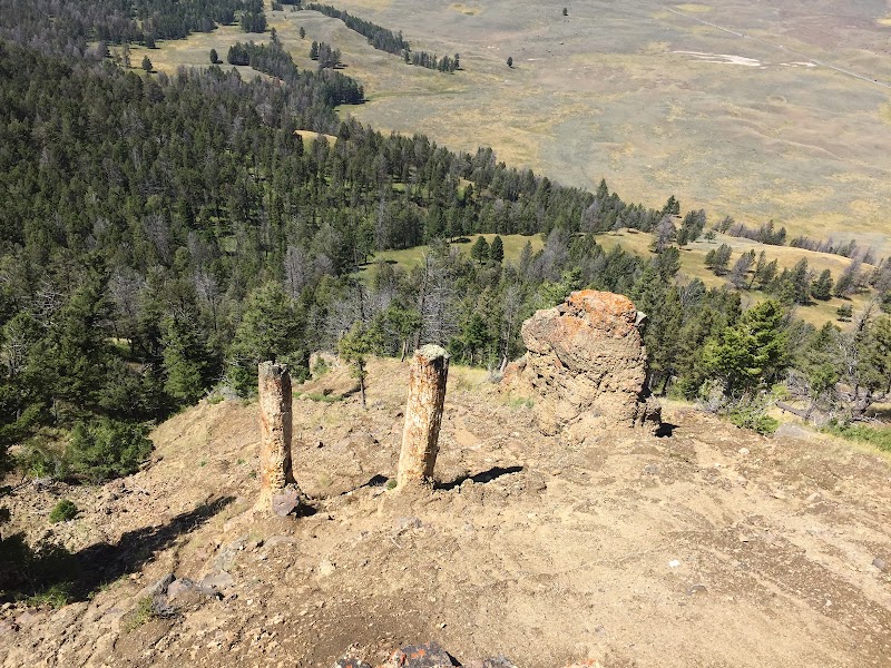 Riverside Rivals: Discovering Yellowstone's Trailhead Treasure outdoor detail
