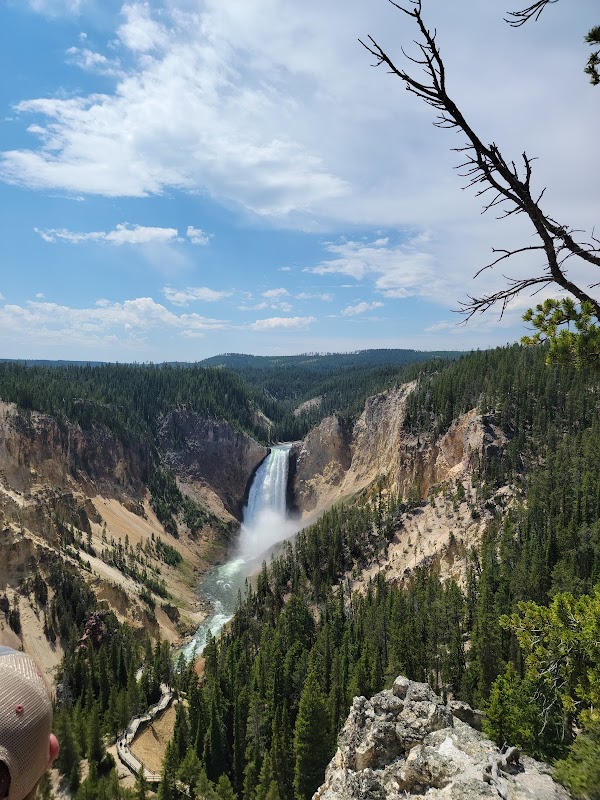 Majestic Grand Canyon of the Yellowstone - Grand Canyon of the Yellowstone