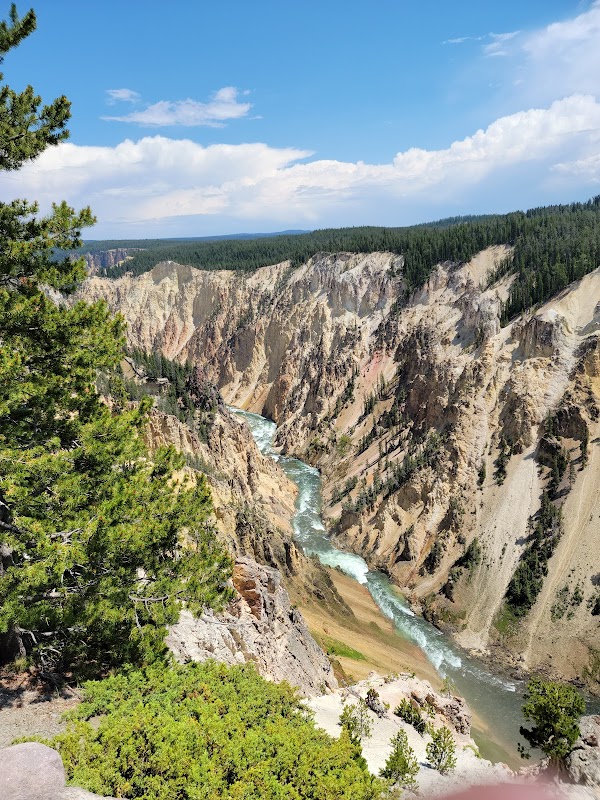 Majestic Grand Canyon of the Yellowstone - Grand Canyon of the Yellowstone