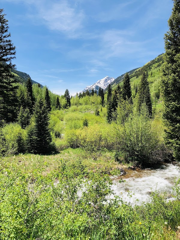 Discover the Tranquil Charms of Silver Bell, Aspen - Silver Bell