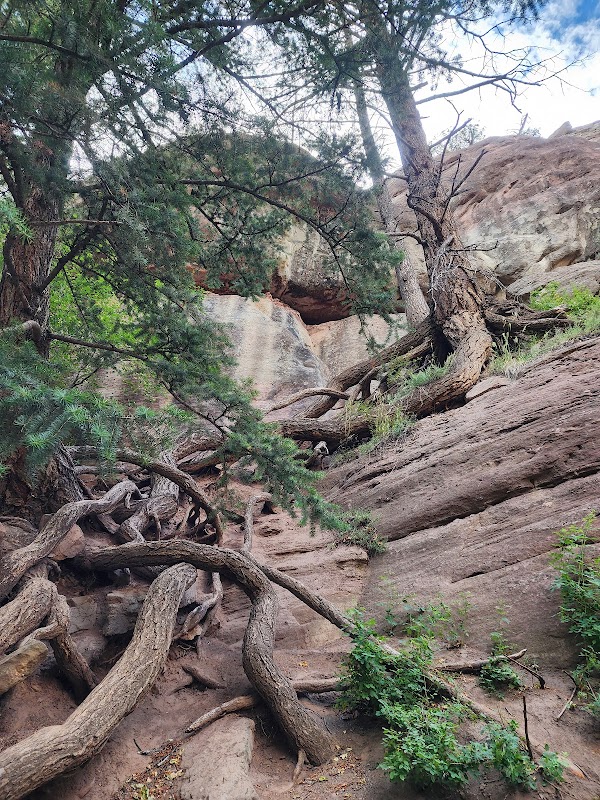 Discover the Natural Beauty of Hayes Creek Falls surrounding landscape