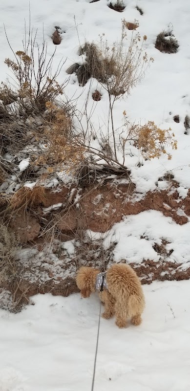 Discover the Red Hill Trailhead in Carbondale surrounding landscape