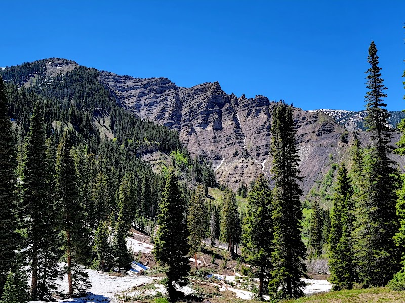Mountain Adventures at Coal Basin Ranch surrounding landscape