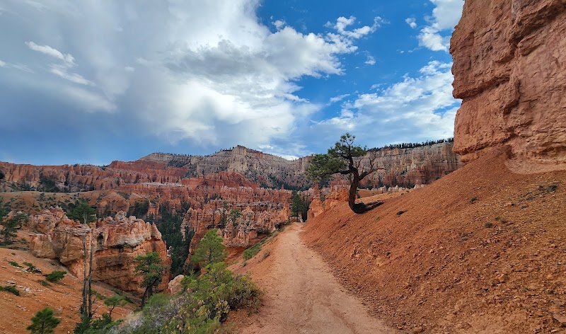 The Majestic Hoodoos of Peekaboo Loop Trail - Peekaboo Loop Trail