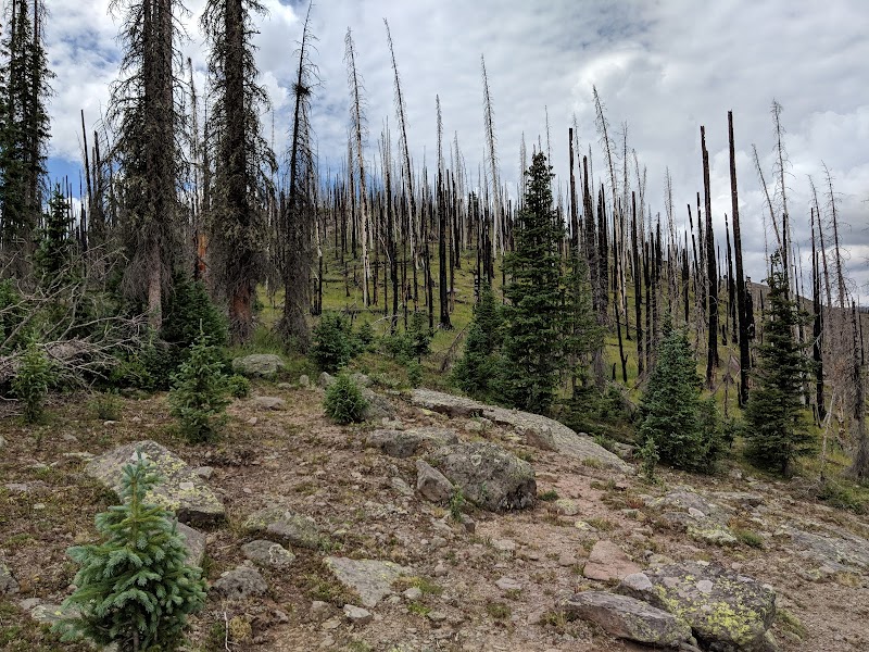 Discover the Wonders of Copper Falls - Copper Falls