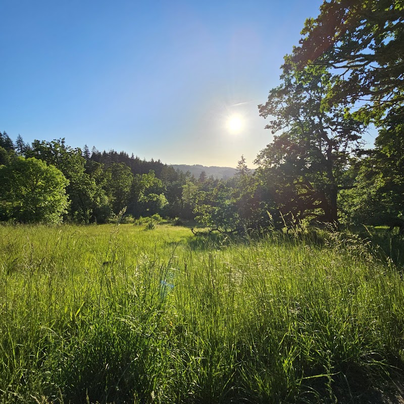 Discover the Beauty of Wild Iris Ridge - Wild Iris Ridge