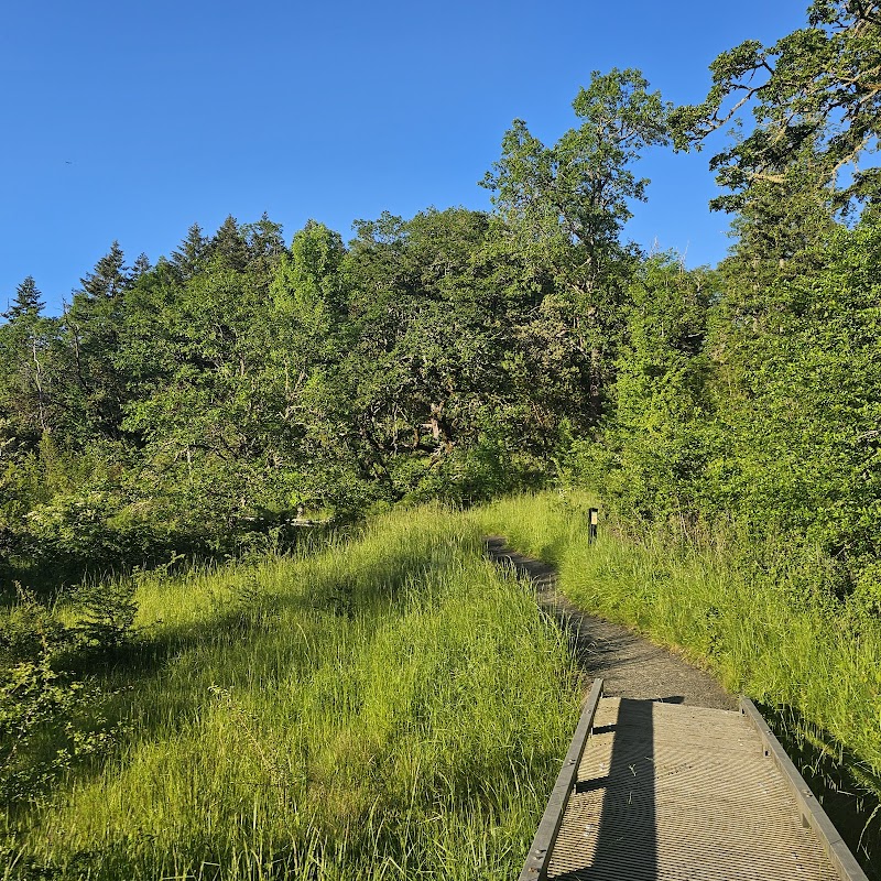 Discover the Beauty of Wild Iris Ridge surrounding landscape