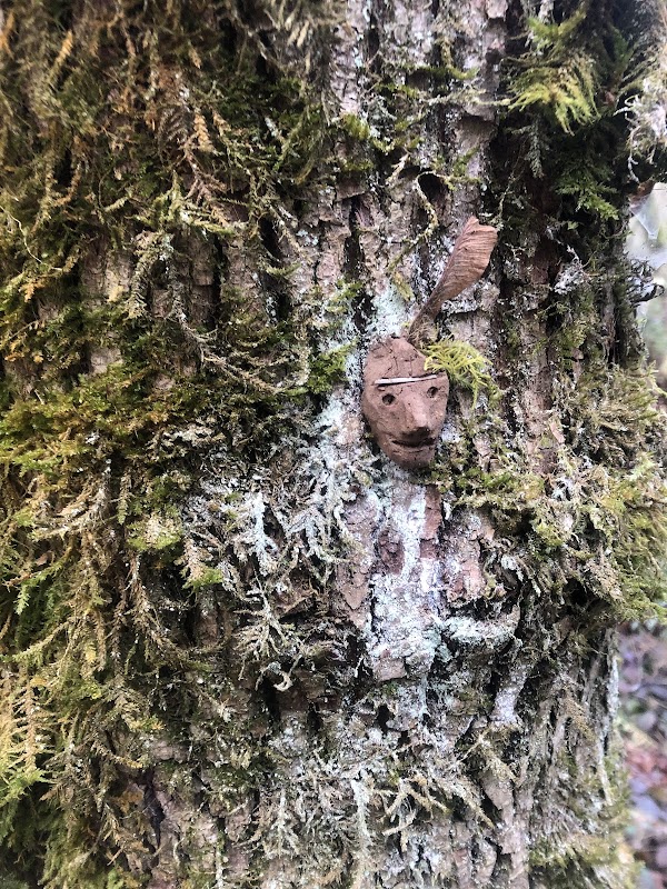 Discovering the Amazon Headwaters Trail outdoor detail