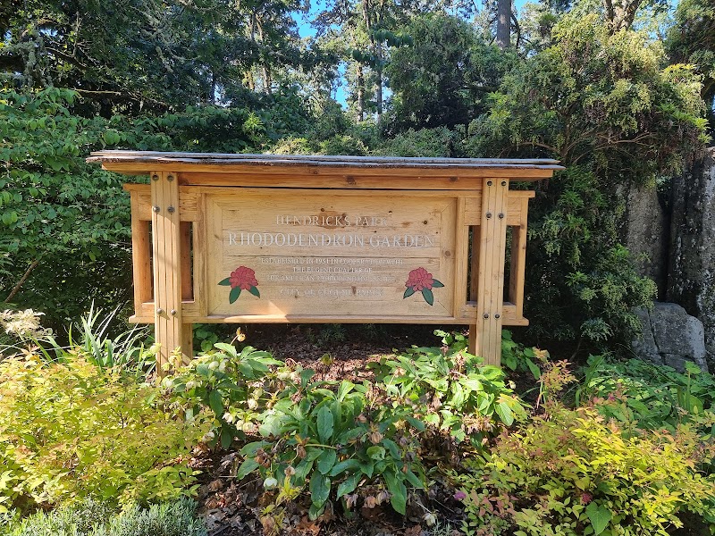 Enchanting Escape: Hendricks Park, Eugene outdoor detail