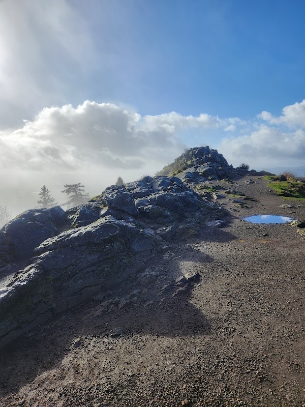 Discover the Beauty of Spencer Butte Summit outdoor detail
