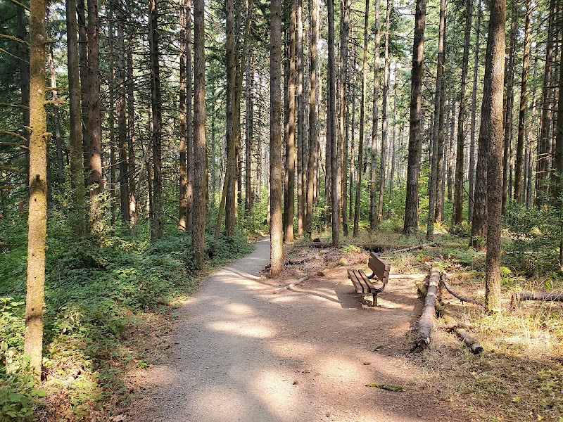 Nature’s Retreat: Amazon Headwaters Park - Amazon Headwaters Park