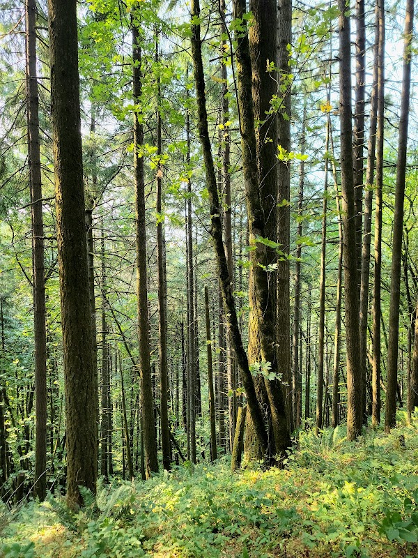 Nature’s Retreat: Amazon Headwaters Park - Amazon Headwaters Park