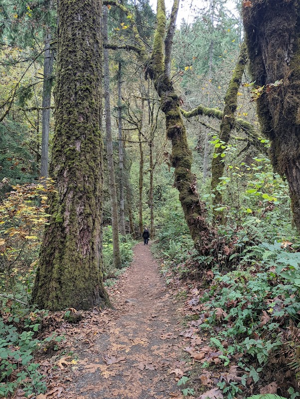 Nature’s Retreat: Amazon Headwaters Park outdoor detail