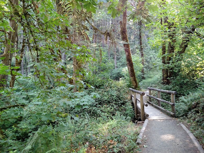 Nature’s Retreat: Amazon Headwaters Park - Amazon Headwaters Park