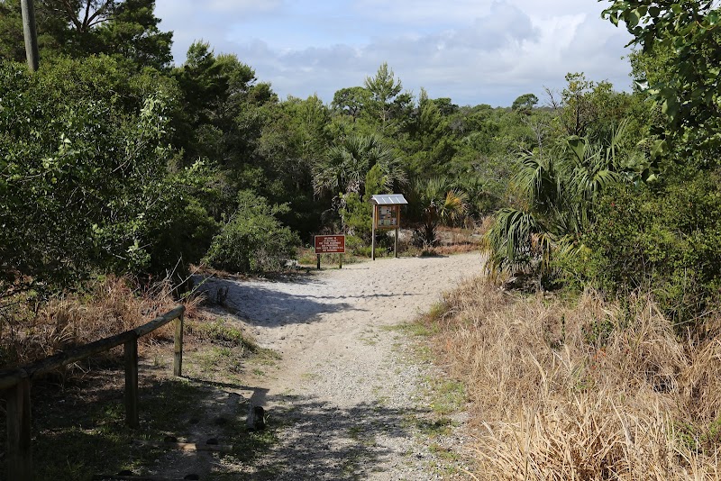 Nature's Gem: Savannas Preserve State Park - Hawk's Bluff Trail surrounding landscape