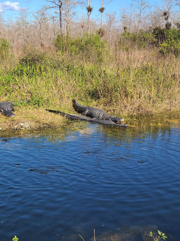 Florida's Wild Frontier: Florida Trail - Southern Terminus surrounding landscape