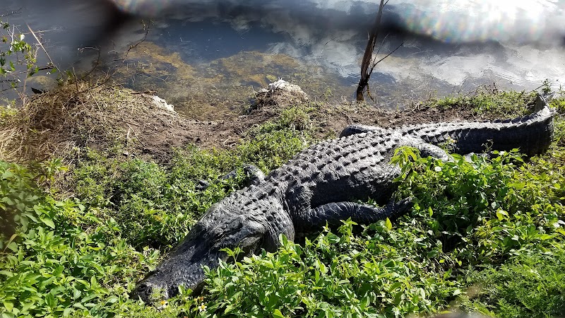 Florida's Wild Frontier: Florida Trail - Southern Terminus - Florida Trail - Southern Terminus