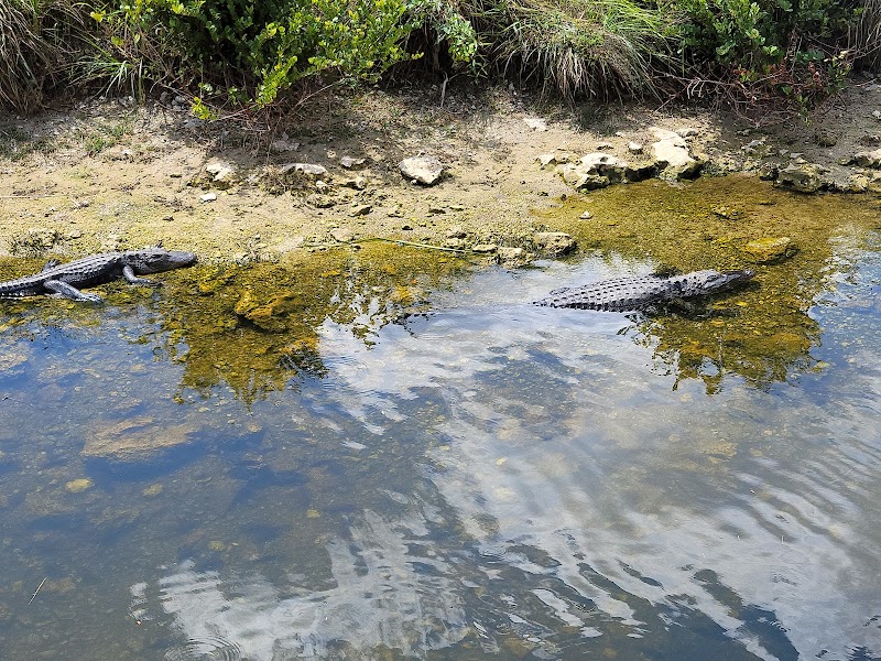 Florida's Wild Frontier: Florida Trail - Southern Terminus - Florida Trail - Southern Terminus