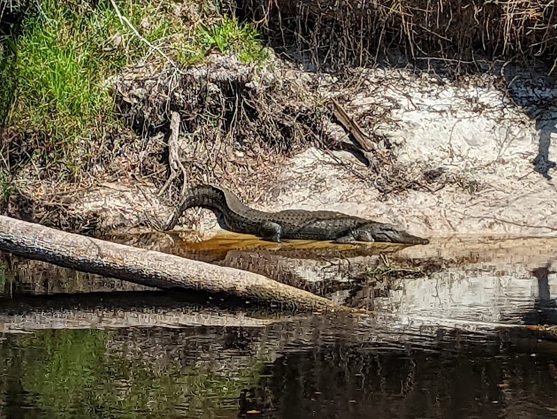 Nature's Escape at Little Big Econ State Forest surrounding landscape