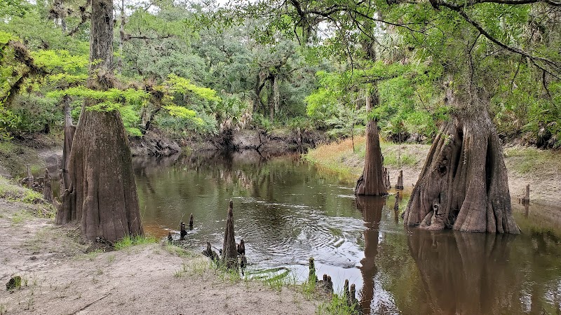 Wilderness Escape: Econ River Wilderness Area outdoor detail